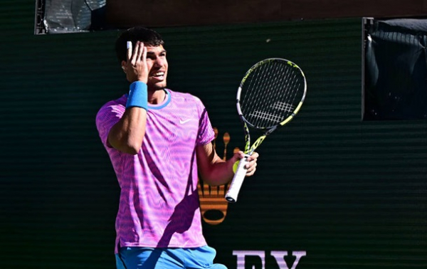 Нашестя бджіл зірвало чвертьфінал на Індіан-Веллс Нашестя бджіл зірвало чвертьфінал на Індіан-Веллс